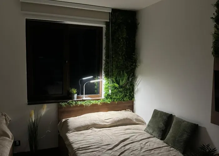 La Familia Kopaonik Brzeće